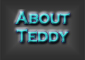 About Teddy Randazzo - Link