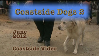 video link - Coastside Dogs 2